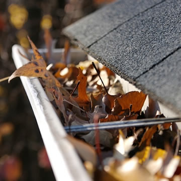 Pose et nettoyage de gouttière 65 à Tarbes